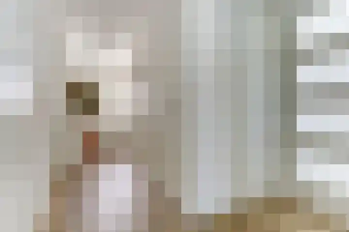 De Pionier 8 Dronten thumbnail 6