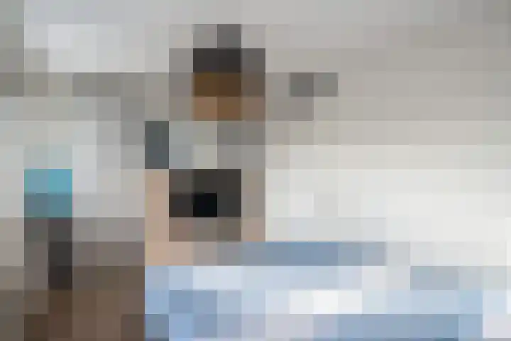 de Pirk 25 Vaassen thumbnail 18