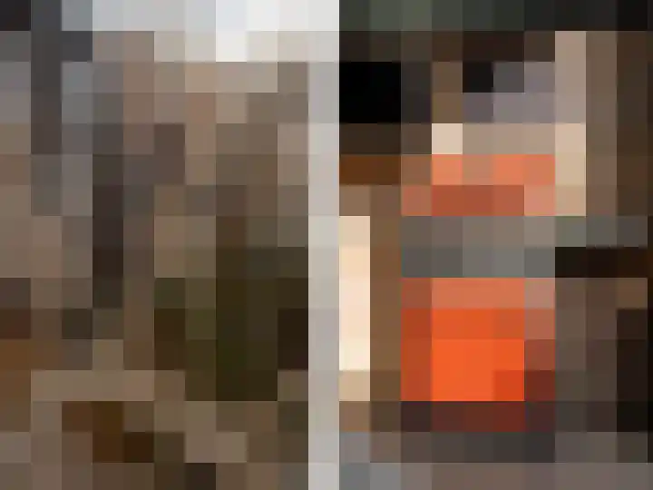 de Pirk 25 Vaassen thumbnail 34