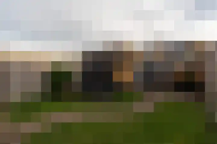 de Pirk 25 Vaassen thumbnail 35