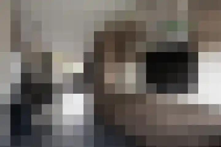 de Pirk 34 Vaassen thumbnail 12