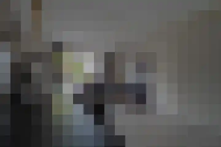 de Pirk 34 Vaassen thumbnail 13