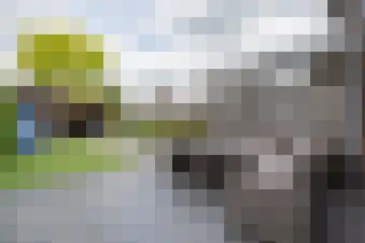 de Pirk 34 Vaassen thumbnail 15