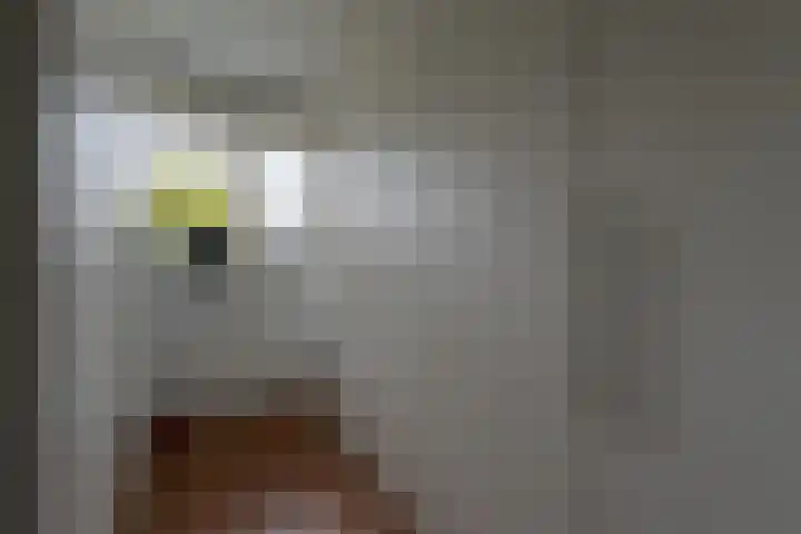 de Pirk 34 Vaassen thumbnail 22