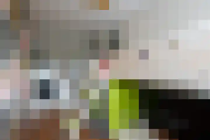 de Pirk 34 Vaassen thumbnail 23