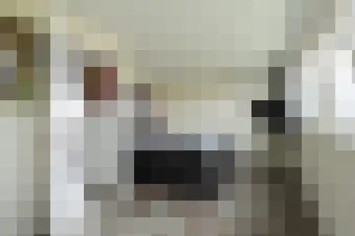 de Pirk 34 Vaassen thumbnail 30