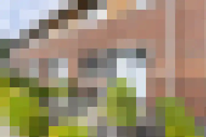 de Pirk 34 Vaassen thumbnail 6