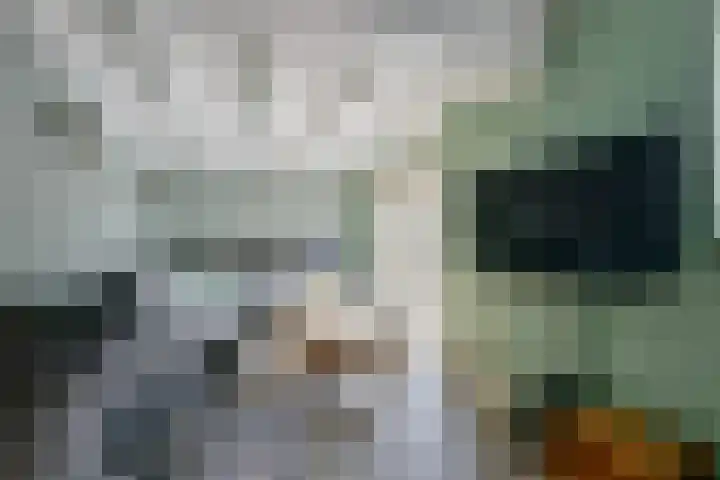 De Plaat 1 Opperdoes thumbnail 15