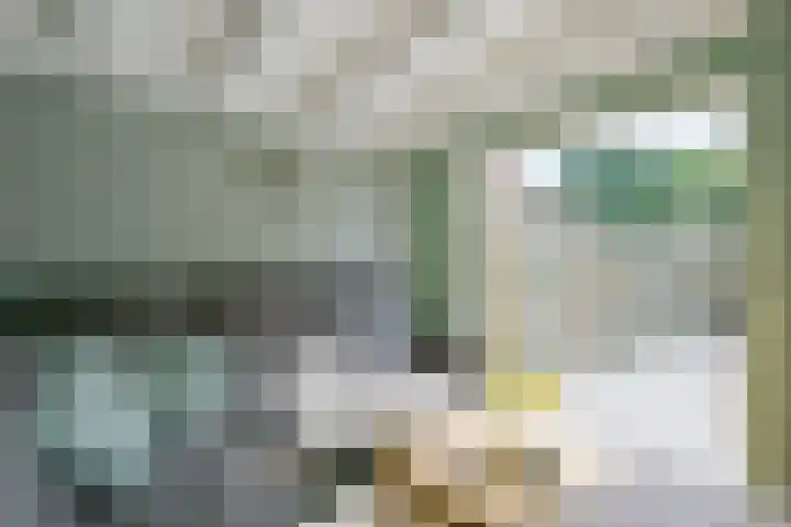 De Plaat 1 Opperdoes thumbnail 16