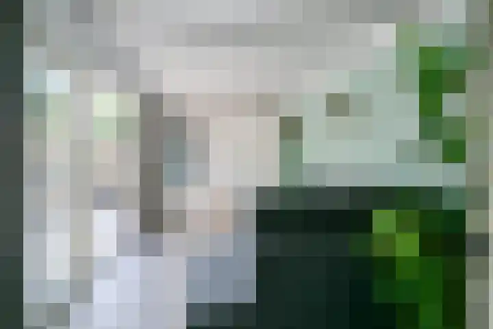 De Plaat 1 Opperdoes thumbnail 21