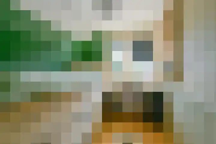 De Plaat 1 Opperdoes thumbnail 30