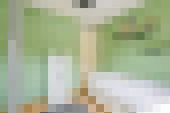 De Plaat 1 Opperdoes thumbnail 32