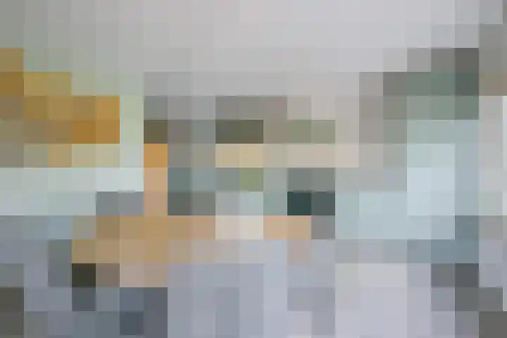 De Plaat 1 Opperdoes thumbnail 4