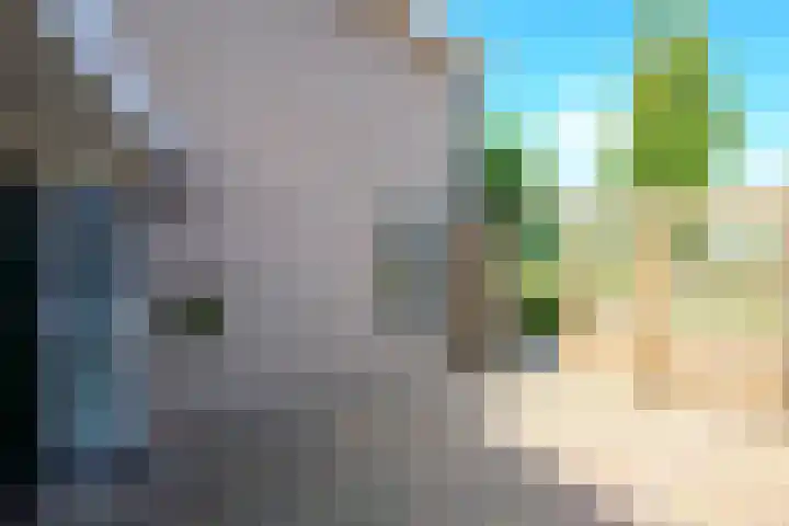 De Plaat 1 Opperdoes thumbnail 40