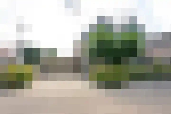 De Plaat 1 Opperdoes thumbnail 41