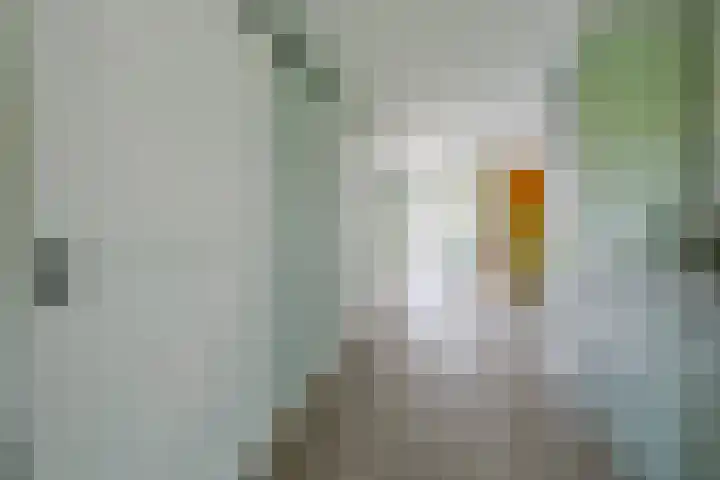 De Plaat 1 Opperdoes thumbnail 7