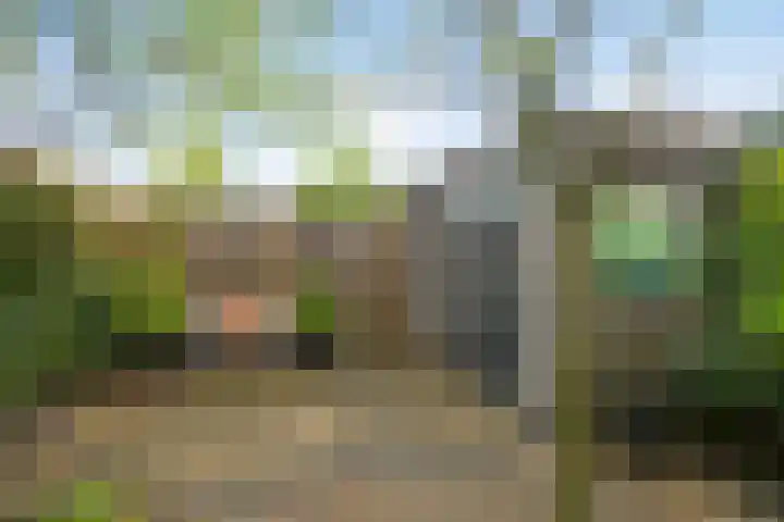 de Plaetse 160 Helmond thumbnail 20