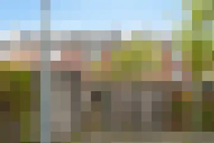 de Plaetse 160 Helmond thumbnail 22