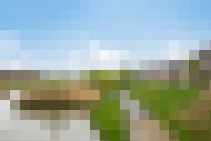 de Plaetse 160 Helmond thumbnail 24