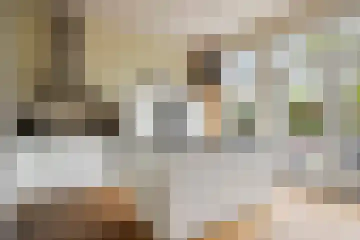 de Plaetse 160 Helmond thumbnail 5