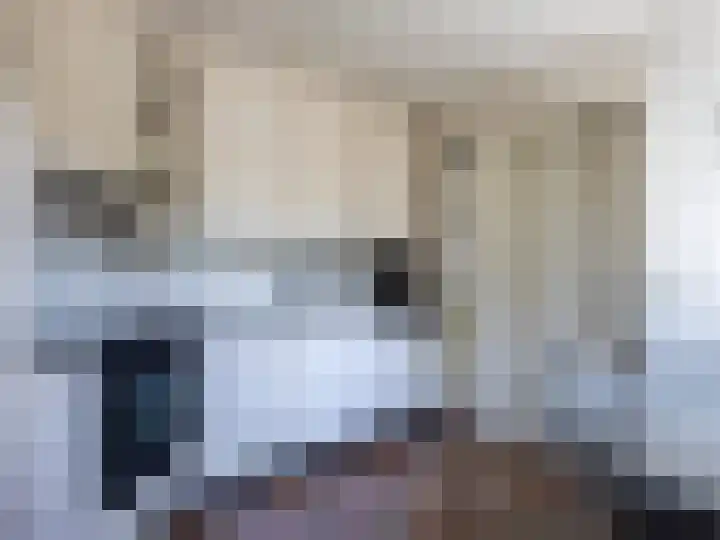 de Plak 60 a Bemmel thumbnail 11