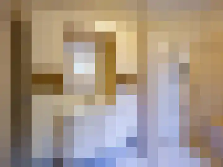 de Plak 60 a Bemmel thumbnail 17