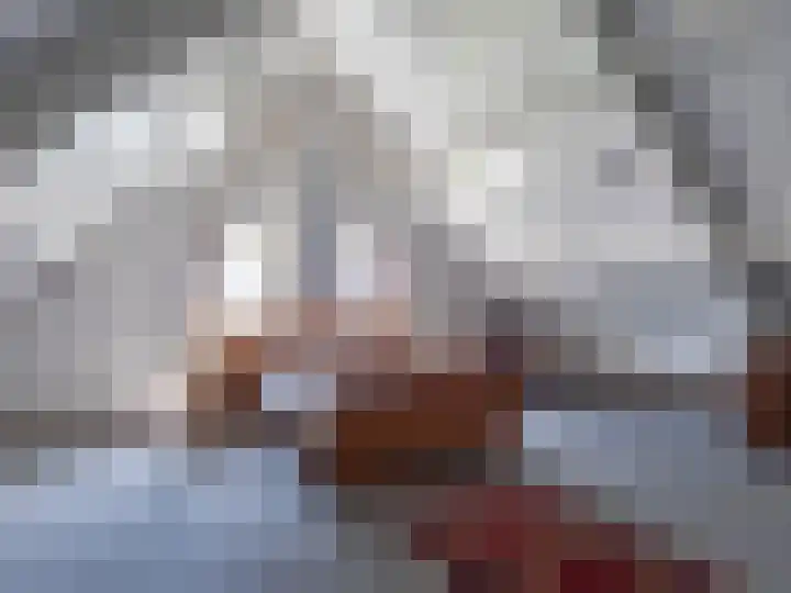 de Plak 60 a Bemmel thumbnail 19