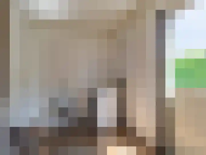de Plak 60 a Bemmel thumbnail 22