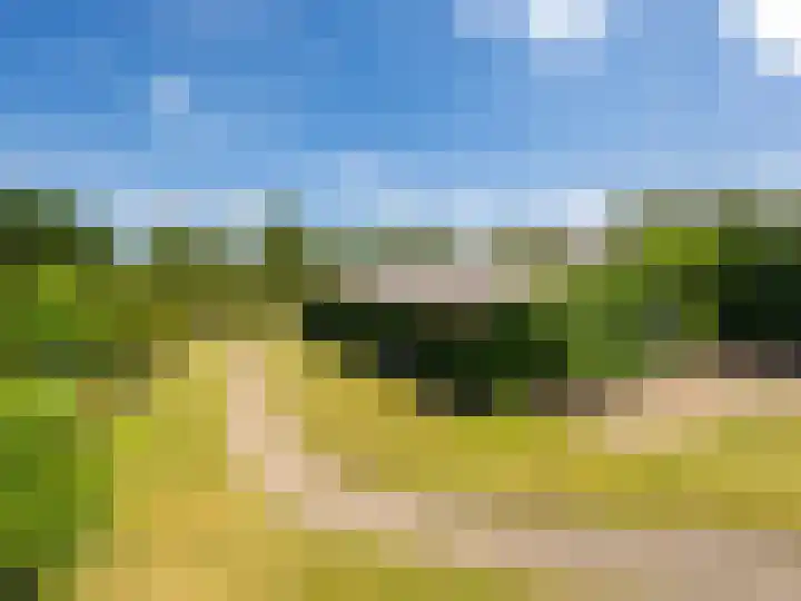 de Plak 60 a Bemmel thumbnail 26