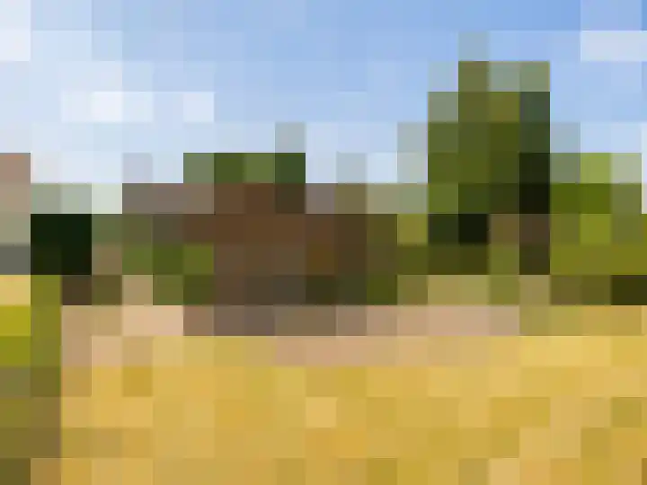 de Plak 60 a Bemmel thumbnail 30