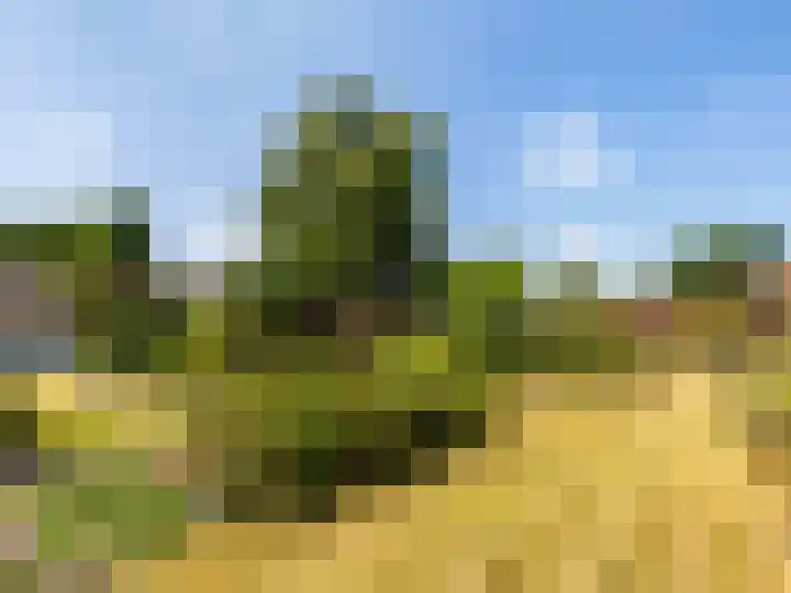 de Plak 60 a Bemmel thumbnail 31