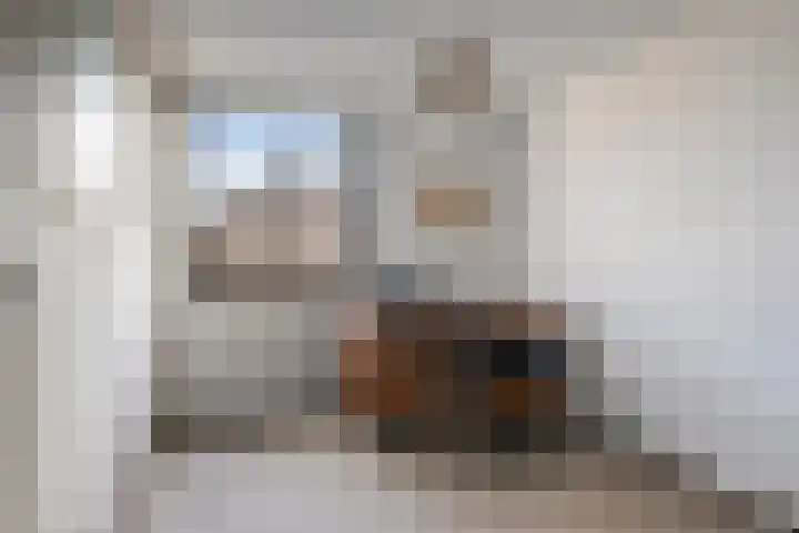 De Plank 1 Veldhoven thumbnail 11