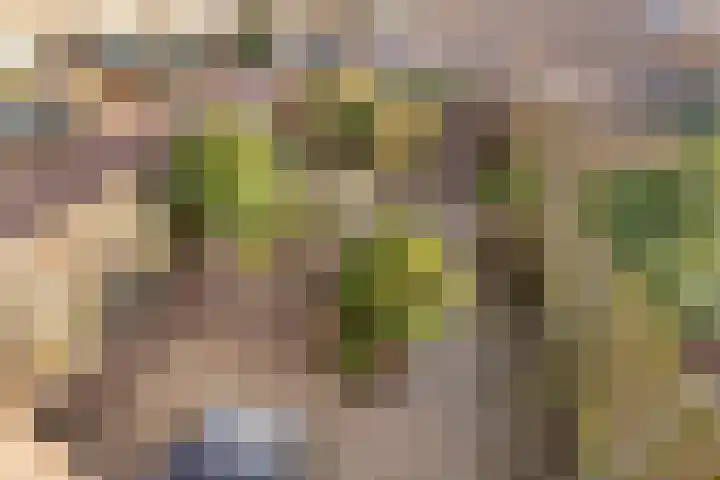 De Plank 1 Veldhoven thumbnail 17