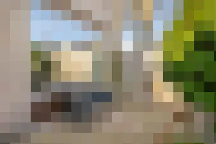 De Plank 1 Veldhoven thumbnail 19