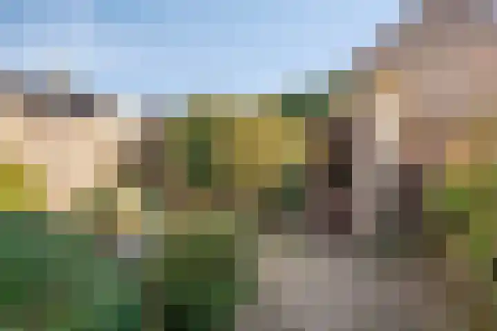 De Plank 1 Veldhoven thumbnail 20