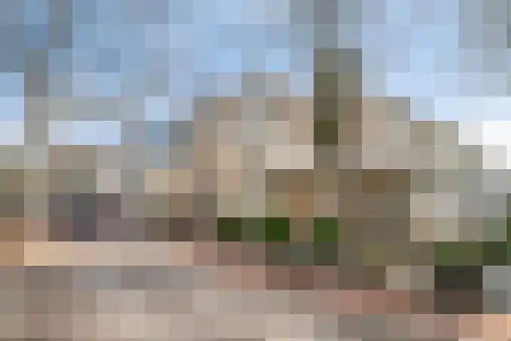 De Plank 1 Veldhoven thumbnail 29