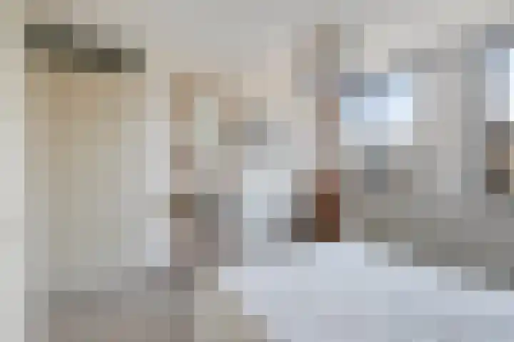 De Plank 1 Veldhoven thumbnail 8