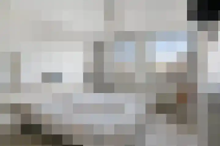De Plank 1 Veldhoven thumbnail 9
