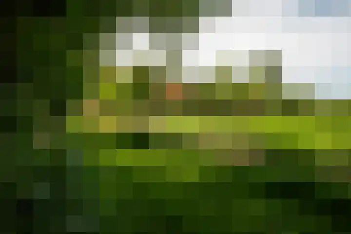 de Plasse 4 Terband thumbnail 13