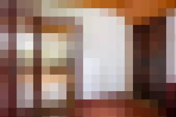de Plasse 4 Terband thumbnail 18