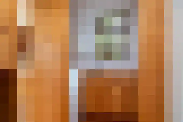 de Plasse 4 Terband thumbnail 19