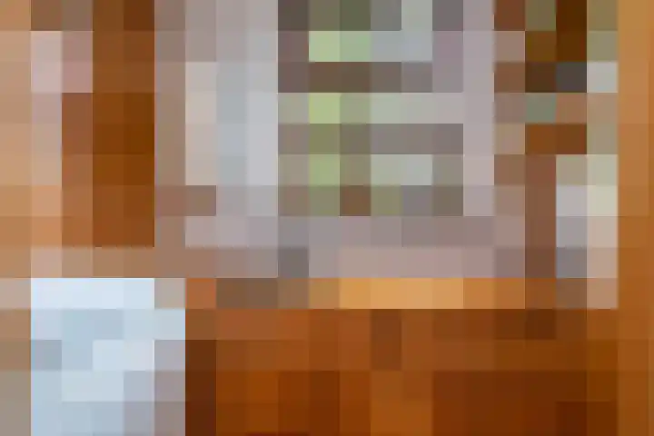 de Plasse 4 Terband thumbnail 20