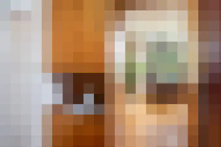 de Plasse 4 Terband thumbnail 21