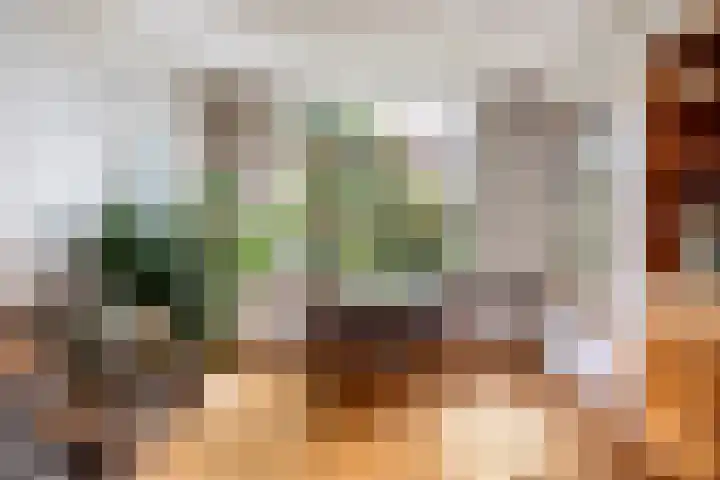de Plasse 4 Terband thumbnail 22