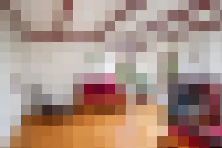 de Plasse 4 Terband thumbnail 24