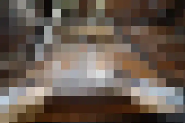 de Plasse 4 Terband thumbnail 28
