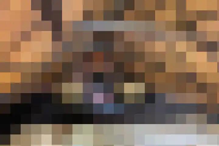 de Plasse 4 Terband thumbnail 29