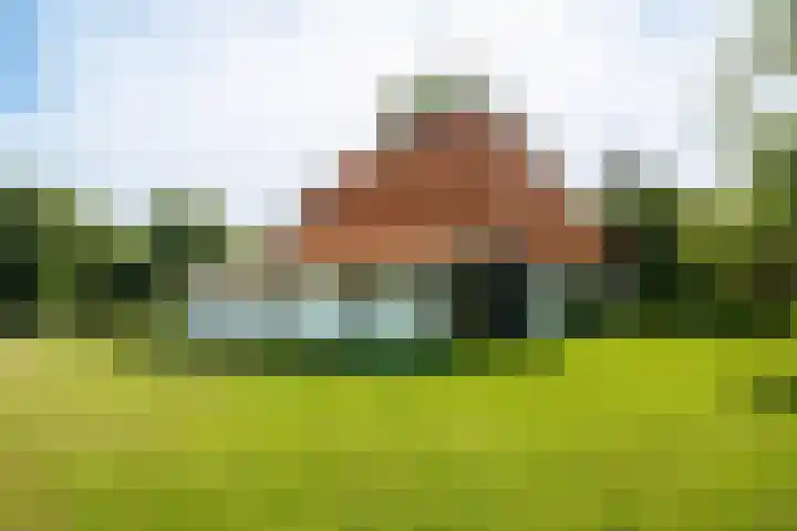 de Plasse 4 Terband foto 3
