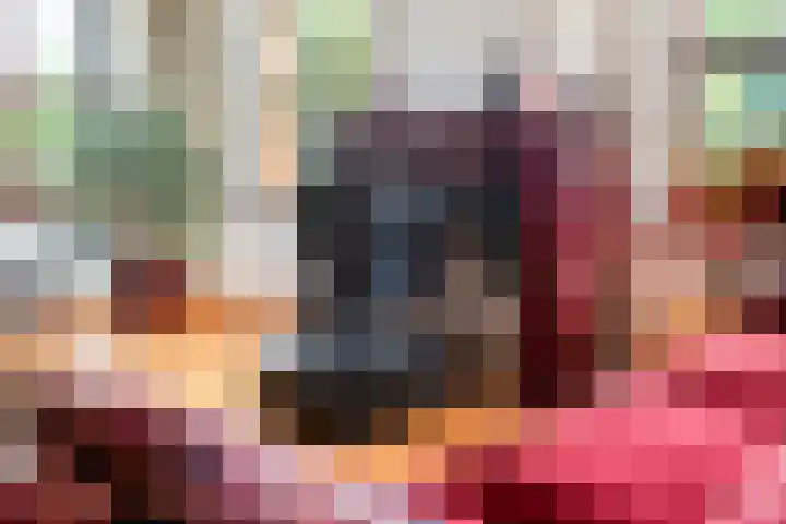 de Plasse 4 Terband thumbnail 32