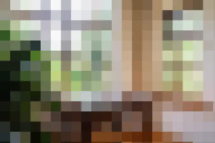 de Plasse 4 Terband thumbnail 33